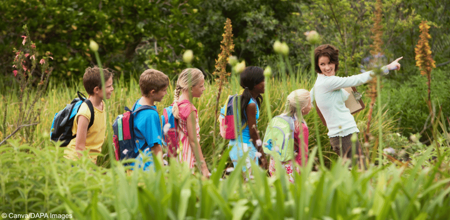 Lehrerin mit Kindern in der Natur. Was ist bei einer Klassenfahrt erlaubt?