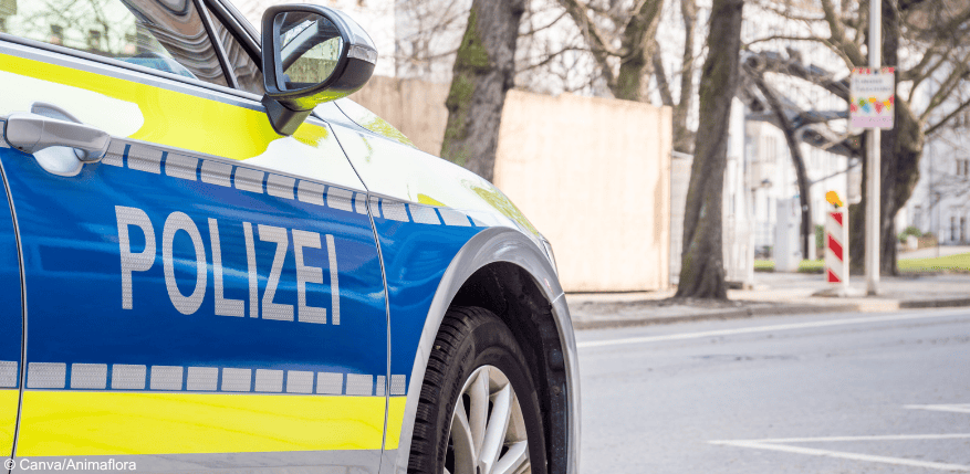 Wann verfallen Punkte in Flensburg?
