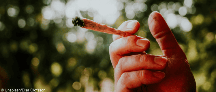 Cannabis: Was ist erlaubt?