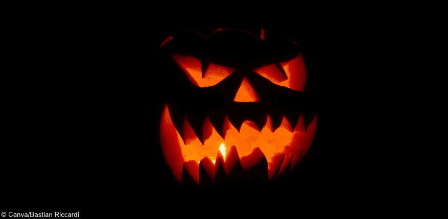 Halloween: Wenn das Saure strafrechtlich relevant wird